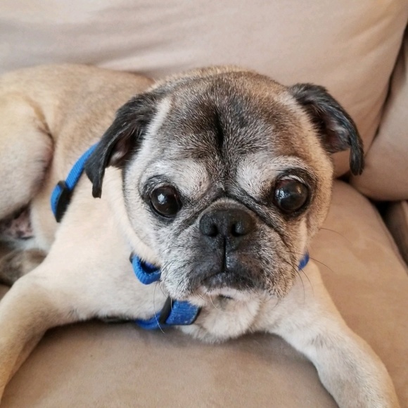 Meet your Posher, Eric - Picture 1 of 1